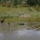 2011-08-21_Geocaching_059