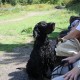 2011-08-21_Geocaching_069