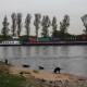 RRS_Fotogalerien_2012-04-28_DD_am_Rhein028