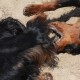 2012-07-29 RRS Holland Hundestrand_076