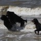2012-07-29 RRS Holland Hundestrand_116