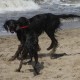 2012-07-29 RRS Holland Hundestrand_144