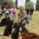 RRS_Fotogalerien_2013-06-16_Dormagen-Zons090