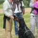 RRS_Fotogalerien_2013-06-16_Dormagen-Zons110