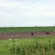 RRS_Fotogalerien_2014-08-10_XXL-Aktion020