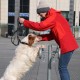 RRS_Fotogalerien_2016-02-28_Stadtagility059