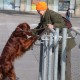 RRS_Fotogalerien_2016-02-28_Stadtagility064