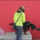 RRS_Fotogalerien_2016-02-28_Stadtagility071
