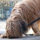 RRS_Fotogalerien_2016-02-28_Stadtagility075