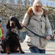 RRS_Fotogalerien_2016-02-28_Stadtagility080