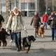 RRS_Fotogalerien_2016-02-28_Stadtagility100