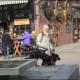 RRS_Fotogalerien_2016-02-28_Stadtagility132