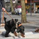 RRS_Fotogalerien_2016-02-28_Stadtagility158