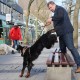 RRS_Fotogalerien_2016-02-28_Stadtagility165