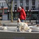 RRS_Fotogalerien_2016-02-28_Stadtagility166