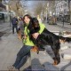 RRS_Fotogalerien_2016-02-28_Stadtagility172