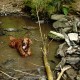 RRS_Fotogalerien_2016-05-22_Kasbachtal067