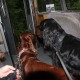 RRS_Fotogalerien_2016-05-22_Kasbachtal124