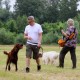 RRS_Fotogalerien_2016-06-12_Hundestunde033