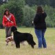 RRS_Fotogalerien_2016-06-12_Hundestunde049
