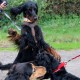 RRS_Fotogalerien_2016-08-21_Kraeuterspaziergang011