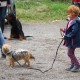 RRS_Fotogalerien_2016-08-21_Kraeuterspaziergang013