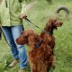 RRS_Fotogalerien_2016-08-21_Kraeuterspaziergang046