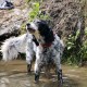 RRS_Fotogalerien_2016-08-21_Kraeuterspaziergang070