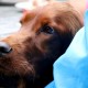 RRS_Fotogalerien_2016-08-21_Kraeuterspaziergang143