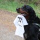 2010-05-02_Staatsfort_Burgholz057